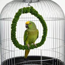 Hamaca columpio para loros, soporte de túnel moldeable, adecuado para varios tipos de loros pequeños y mascotas pequeñas trepadoras - Ver 2