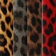 ILUMA/ILUMA I Leopard Print