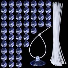 50PCS Aquarium Suction Cups, 25mm Small Suction Cups And 70PCS Zip Tie Aquarium Plant Holder Suctions Cup For Binding Aquariums Plant Holder Fishes Tanks Plants Moss Shrimp Nest Landscape Fixation - As Pic - View 2