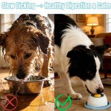 1pc Anti-Slip Slow Feeder Bowl For Dogs & Cats, With Rotating Licking Ball, Suitable For Liquid & Wet Food, Relieve Anxiety, Increase Interactive Fun, Keep Pets Happy & Busy - 150ml - View 4