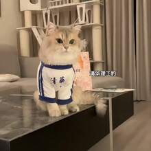 透气防掉毛宠物衣服，适合小型/中型猫咪，可机洗，猫咪T恤 - 藍色 - 查看 9