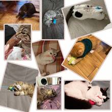 Soft Plush Catnip Cat Toy With Crinkle Paper, Durable Chew Toy With Funny Expression, Interactive Mini Toy For Kittens And Cats - Multicolor - View 14