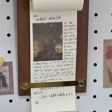8件套复古留言板套装，包含留言夹、留言盒、空白留言本、留言板、拉出式笔记本、复古木质留言板（含卷装留言纸，另售）、复古留言板、优雅拉出式笔记本，适合返校季及办公使用，也适用于家庭、派对、咖啡馆、茶馆等场所。 - 彩色 - 查看 6