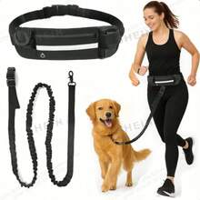 Outdoor Sports Waist Bag With Retractable Dog Leash, Portable Waist Pack For Hiking, Running - Multicolor - View 1