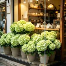 1 pieza/2 piezas/4 piezas Flores de Hortensia Artificiales Verdes de 15.35 Pulgadas, Decoración Floral de Hortensia Falsa con Tacto Realista para el Hogar, Jardín Exterior, Boda, Navidad, Oficina, Fiesta Familiar, Sala de Estar, Mesa de Comedor - Verde - Ver 3