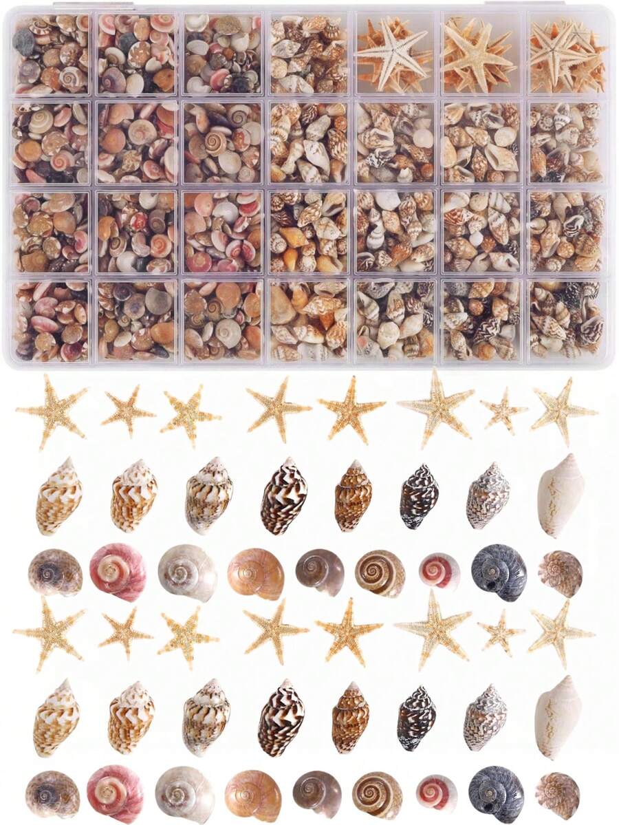 Winzige Seesterne und winzige Mini-Muscheln zum Basteln, Spiralmuscheln zum Basteln, Charms für Heimdekoration, Kerzendekor, DIY Aquarium und Strandvasen Füllmaterial - Verschiedenfarbig - Übersicht 1