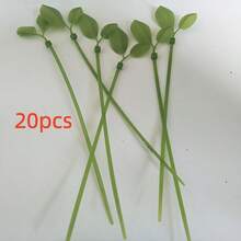 20个装 - 叶形植物扎带 - 绿色尼龙扎带,用于花园藤蔓支撑、植物固定和室内装饰 - 200毫米(7.87英寸)自锁式,适用于储物架、阳台栏杆和办公室线缆管理(自然主题) - 均碼 - 查看 11