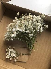 25/55/110/300 支装白色人造满天星，可用于花瓶填充，适用于婚礼、家居、办公室、派对、花园、卡片制作、DIY装饰 - 白綠色1 - 查看 8