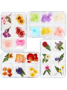 6-Compartment/Box Colorful Natural Nail Dried Flower Set, 3D Floral Daisy Petals, DIY Nail Art Decorations, Epoxy Resin Mold Filler, Jewelry Casting Supplies, DIY Crafts, Valentine's Day Gifts, Holiday Decor, Suitable For Valentine's Day, Daily Life, Qixi Festival, Christmas - Multicolor - View 4