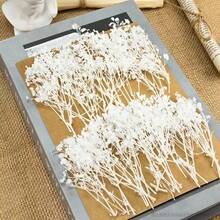 100/50 piezas Flores artificiales pequeñas de aliento de bebé blancas - Flores artificiales teñidas vibrantes adecuadas para decoración de bodas, decoración de invitaciones, manualidades DIY, corsage, decoración del hogar, decoración de mesa, decoración de oficina - Blanco puro - Ver 10