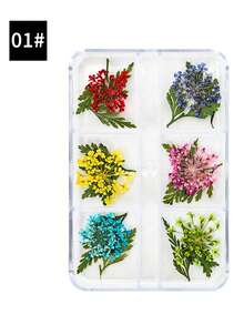 6-Compartment/Box Colorful Natural Nail Dried Flower Set, 3D Floral Daisy Petals, DIY Nail Art Decorations, Epoxy Resin Mold Filler, Jewelry Casting Supplies, DIY Crafts, Valentine's Day Gifts, Holiday Decor, Suitable For Valentine's Day, Daily Life, Qixi Festival, Christmas - Multicolor - View 5