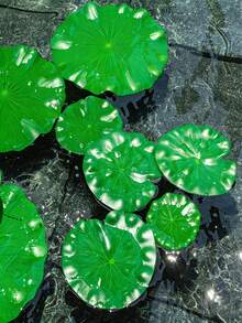 8pcs Artificial Lotus Leaf Floating Decor, 4 Sizes Realistic Foam Lotus Leaf & Flower Decorations, Suitable For Fish Pond, Aquarium, Water Landscape, Home Decor - Multicolor - View 4