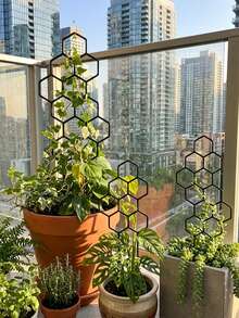 1/2件組蜂巢狀植物攀爬訓練架，盆栽植物與攀緣花卉支撐架，省空間室內外園藝用品，適用於盆栽藤蔓與花卉，省空間室內外花園支撐架 - A - 查看 8