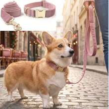 2pcs/Set, Soft Velvet Zinc Alloy Buckle Collar + Leash Set, Suitable For Large, Medium And Small Pets, Pet Outdoor Supplies, Outdoor Dog Leash, Soft & Comfortable, Durable Zinc Alloy Buckle, Plated Gold, More Sturdy Than Plastic, Metal Buckle Easy To Tighten And Quick Release, Holiday Birthday Gift (Due To Fabric Batch Difference, Slight Color Difference, Random Delivery) - Dusty Pink - View 3