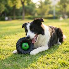 Tire Shaped Dog Chew Toy Squeaky Interactive Puppy Teething Toy Durable Relief Anxiety Pet Stress Relief Entertainment Play Toy - Multicolor - View 1