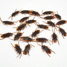 3/5/10/25/50個仿真假蟑螂軟橡膠蟑螂玩具，恐怖玩具，派對道具，模型玩具 - 彩色 - 查看 3