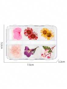 6-Compartment/Box Colorful Natural Nail Dried Flower Set, 3D Floral Daisy Petals, DIY Nail Art Decorations, Epoxy Resin Mold Filler, Jewelry Casting Supplies, DIY Crafts, Valentine's Day Gifts, Holiday Decor, Suitable For Valentine's Day, Daily Life, Qixi Festival, Christmas - Multicolor - View 11