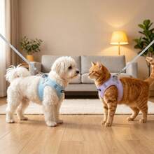 DomKim Anti-Pull Reflective Dog Harness & Leash Set, Escape-Proof Cat Harness With 1.5m Leash, Adjustable Breathable Mesh Pet Vest, Night Reflective Strip, Suitable For Small And Medium Dogs & Cats Outdoor Walking - Blue - View 11