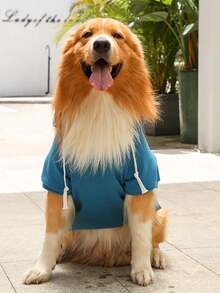 Blue Pet Pattern Zipper Pocket Hoodie Suitable For Daily Wear, Unisex - Blue - View 9