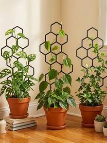 1/2件組蜂巢狀植物攀爬訓練架，盆栽植物與攀緣花卉支撐架，省空間室內外園藝用品，適用於盆栽藤蔓與花卉，省空間室內外花園支撐架 - A - 查看 2