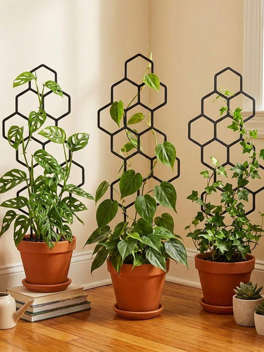 1/2件組蜂巢狀植物攀爬訓練架，盆栽植物與攀緣花卉支撐架，省空間室內外園藝用品，適用於盆栽藤蔓與花卉，省空間室內外花園支撐架