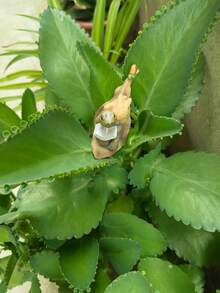 1pc Cute Desktop Small Animal Turtle Figurine, Succulent Planter, Office Decor Resin Crafts - C - View 6