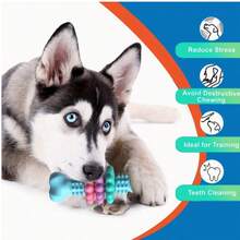Mainan Tulang untuk Menggigit Anjing, Cocok untuk Anjing yang Suka Mengunyah - Terbuat dari Karet Termoplastik Tahan Lama dengan Pola Geometris, Digunakan untuk Membersihkan Gigi dan Melatih Kebiasaan Mengunyah Anjing Kecil dan Sedang, Meredakan Kebosanan dan Perilaku Mengunyah yang Merusak, Mainan Mengunyah Anjing - MultiWarna - View 3