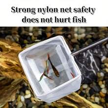 2pcs Collapsible Aquarium Fish Net With Retractable Stainless Steel Handle - Heavy-Duty Durable Fish Tank Net For Catching Small Fish, Shrimp, For Aquarium Maintenance, For Fish Breeding - For Aquatic Pets (No Or Escape - White - View 10