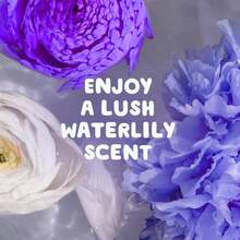 Exclusive : Home-Use Size Commercial-Size Pack Get One Free,Liquid Laundry Detergent, Relax-Deep Cleansing, Long-Lasting Fragrance, Soft Protection For Clothes. Long-Lasting Fragrance, Lasts For 30 Days. A Beautiful Gift - 1 - 查看 4