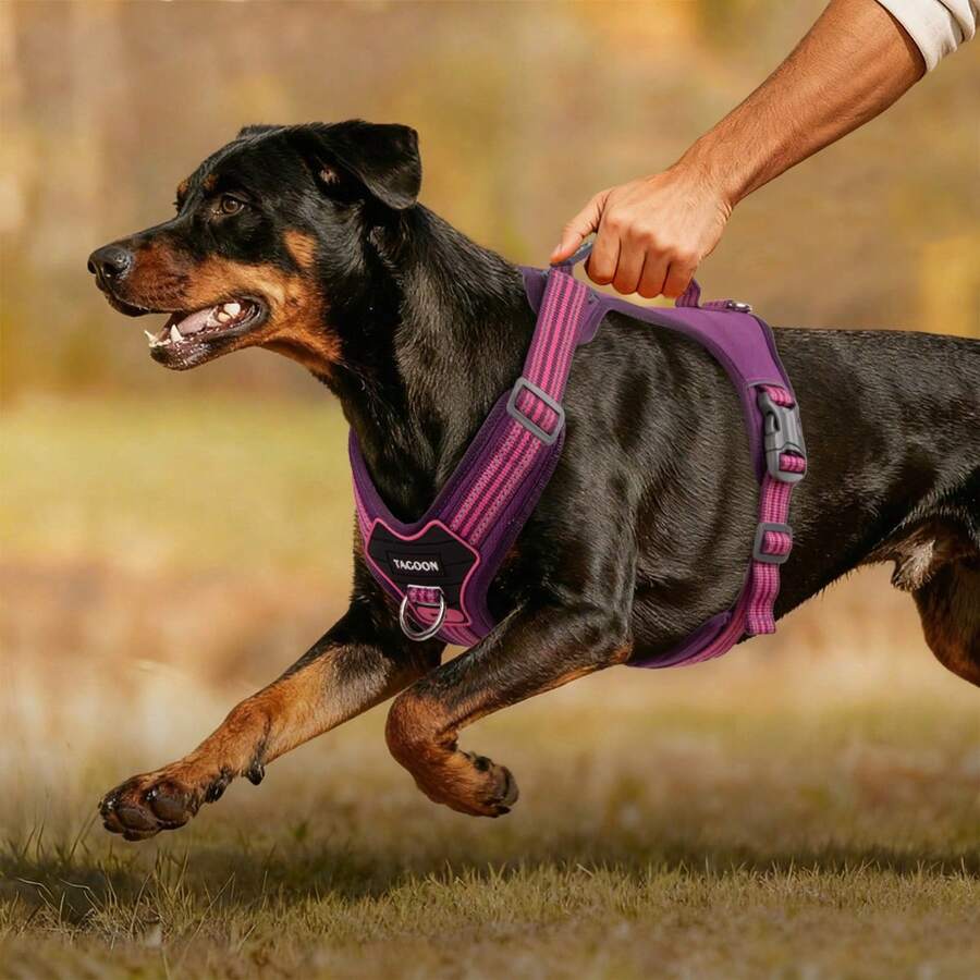 Adjustable Soft Yet Durable Dog Harness With Handle, Suitable For Medium Dogs, Outdoor Dog Chest Strap With Reflective Strips - Multicolor - View 1