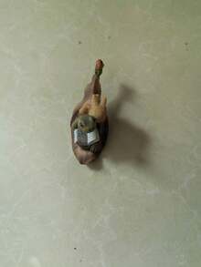 1pc Cute Desktop Small Animal Turtle Figurine, Succulent Planter, Office Decor Resin Crafts - C - View 11