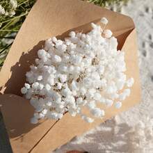 100/50 piezas Flores artificiales pequeñas de aliento de bebé blancas - Flores artificiales teñidas vibrantes adecuadas para decoración de bodas, decoración de invitaciones, manualidades DIY, corsage, decoración del hogar, decoración de mesa, decoración de oficina - Blanco puro - Ver 6