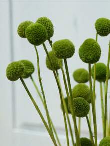 10/20入 人造花莖黃色球花花頭，大直徑約1.5英吋，適用居家裝飾、拍照道具、DIY婚禮裝飾 - 綠色 - 查看 4