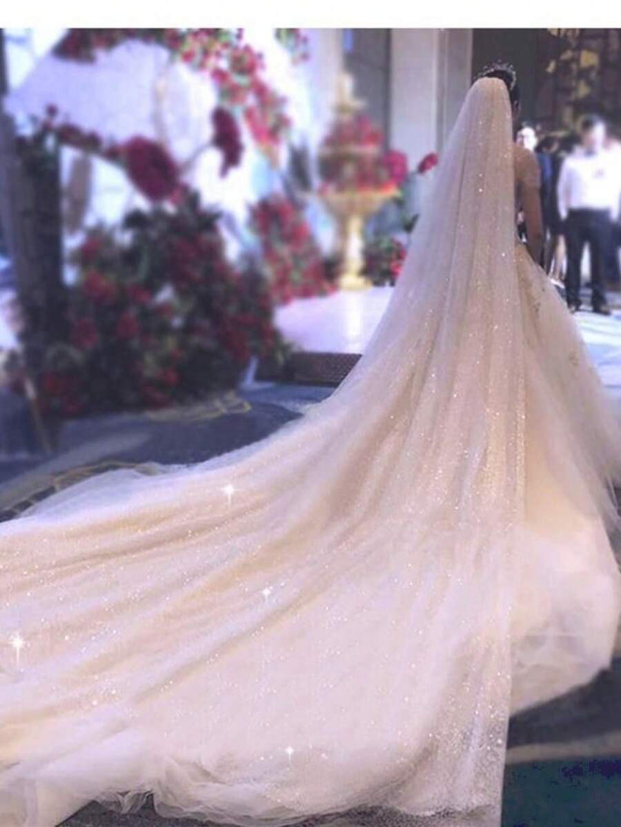 长款闪亮网纱星空头纱,新娘头饰,超长拖尾,浪漫仙女风婚礼配饰 - 直白色 - 查看 1