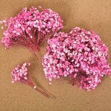 Light Pink Baby's Breath