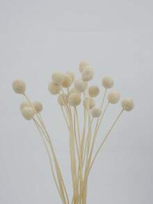 10/20入人造莖黃色球狀花頭 Craspedia，大直徑約 1-1/2 英吋，適用家居裝飾、拍照道具、DIY婚禮裝飾 - 白色 - 查看 5