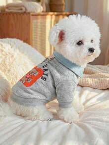 PETCIRCLE 1件宠物服装，狗/猫户外/室内服装，舒适连帽衫系列，小型犬/幼犬，秋/春季，灰色小熊学院风卫衣 - 彩色 - View 3