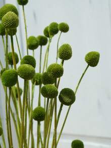 10/20入 人造花莖黃色球花花頭，大直徑約1.5英吋，適用居家裝飾、拍照道具、DIY婚禮裝飾 - 綠色 - 查看 3