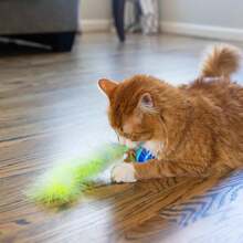 Catstages Roll &Amp; Chase Robot Toy U2013Interactive Electronic Cat Toy For Indoor With Feather Teaser Tail, Lights, USB Rechargeable, Automatic Moving Action For Active Play, Mental Stimulation &Amp; Enrichment - trắng - Xem 6