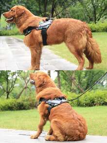 1 pieza Arnés y correa reflectante de poliéster para perro, chaleco de entrenamiento, chaleco antitirones para mascotas, transpirable y ajustable, adecuado para perros pequeños/medianos/grandes para uso en exteriores - Multicolor - Ver 6