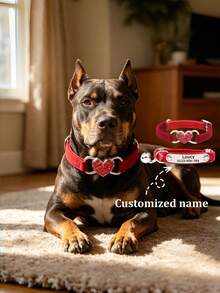 [Custom] Adjustable Elastic Diamond Heart Pattern Pet Collar - Suitable For Small Cats And Puppies - Customized With Name, Phone, Address - The Perfect Gift For Your Pet! - Multicolor - View 1
