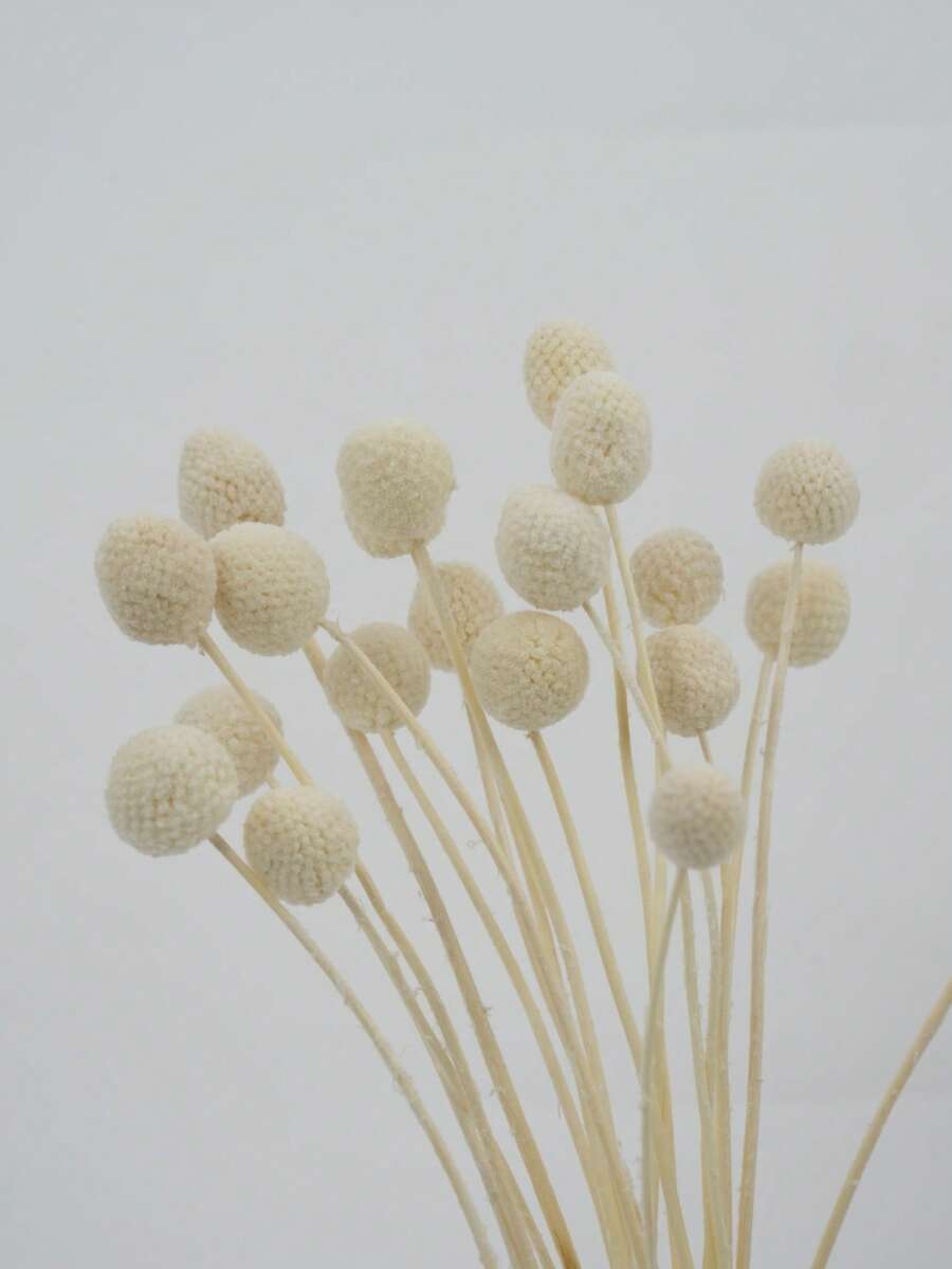 10/20入人造莖黃色球狀花頭 Craspedia,大直徑約 1-1/2 英吋,適用家居裝飾、拍照道具、DIY婚禮裝飾 - 白色 - 查看 1