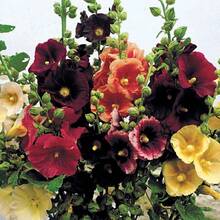 Outdoor Decor - 288PCS - View 3