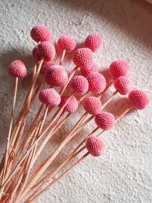10/20入 人造莖黃色球狀花頭 Craspedia Billy Ball，大直徑約 1-1/2 英吋，適用居家裝飾、拍照道具、DIY婚禮裝飾 - 粉色 - 查看 6