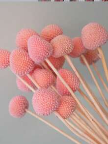 10/20入 人造莖黃色球狀花頭 Craspedia Billy Ball，大直徑約 1-1/2 英吋，適用居家裝飾、拍照道具、DIY婚禮裝飾 - 粉色 - 查看 7