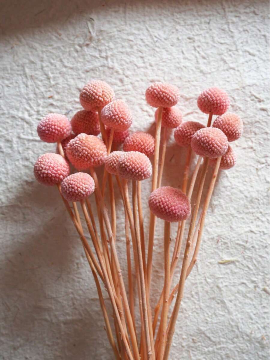 10/20入 人造莖黃色球狀花頭 Craspedia Billy Ball,大直徑約 1-1/2 英吋,適用居家裝飾、拍照道具、DIY婚禮裝飾 - 粉色 - 查看 1