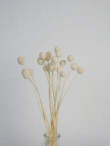 10/20入人造莖黃色球狀花頭 Craspedia，大直徑約 1-1/2 英吋，適用家居裝飾、拍照道具、DIY婚禮裝飾 - 白色 - 查看 7