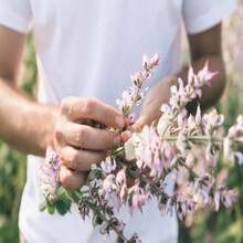 Outdoor Decor - SEED - View 8