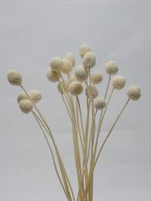 10/20入人造莖黃色球狀花頭 Craspedia，大直徑約 1-1/2 英吋，適用家居裝飾、拍照道具、DIY婚禮裝飾 - 白色 - 查看 6