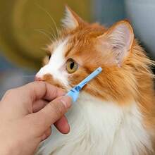 1 pièce Brosse de toilettage pour animaux de compagnie | Design à pointe ronde, convient pour le nettoyage du visage et le brossage des poils des chats et des chiens, facile à nettoyer - élimine sans effort les taches de larmes et la saleté - Voir 4